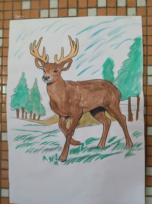 1165.jpg